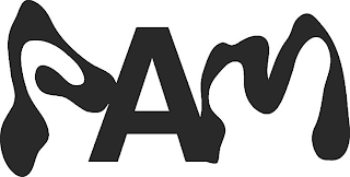PAM logo