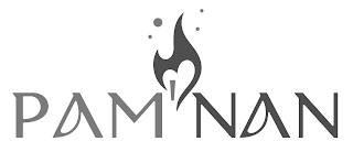 PAM NAN logo