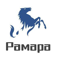 PAMAPA logo