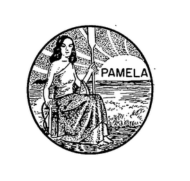 PAMELA logo