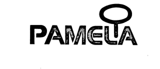 PAMELA logo