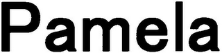 PAMELA logo