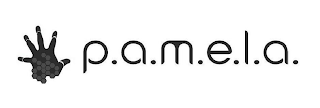 P.A.M.E.L.A. logo