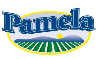 PAMELA logo