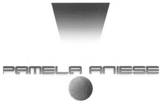 PAMELA ANIESE logo