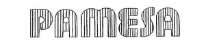 PAMESA logo