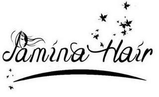 PAMINA HAIR logo