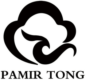 PAMIR TONG logo