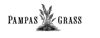 PAMPAS GRASS logo