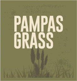 PAMPAS GRASS logo