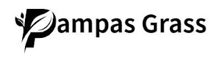 PAMPAS GRASS logo