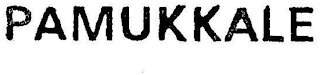 PAMUKKALE logo