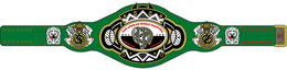 PAN-AFRIKAN WORLD DIAPORA WRESTLING CHAMPION ABIBIFANODIE ABIBIFANODIE @ ME163 logo