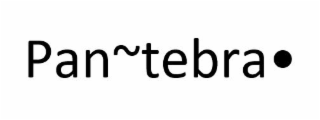 PAN TEBRA logo