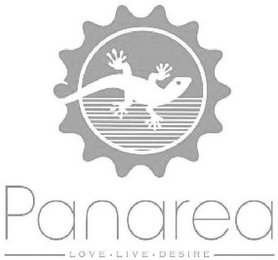 PANAREA LOVE LIVE DESIRE