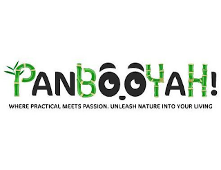 PANBOOYAH! WHERE PRACTICAL MEETS PASSION. UNLEASH NATURE INTO YOUR LIVING logo