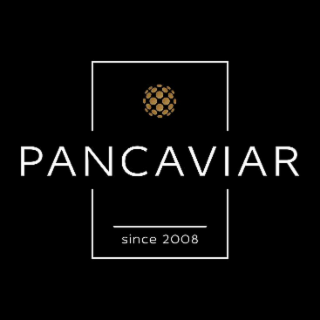 PANCAVIAR SINCE 2008 logo