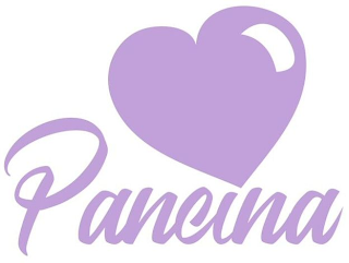 PANCINA logo