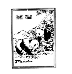 PANDA logo