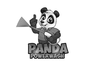 PANDA POWERWASH logo