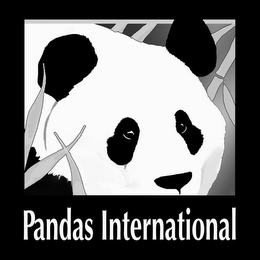 PANDAS INTERNATIONAL logo