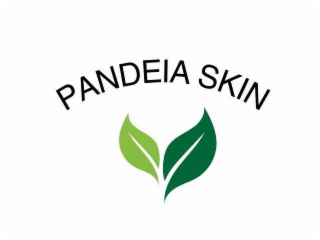 PANDEIA SKIN logo