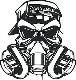 PANDEMYK PERFORMANCE logo