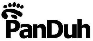 PANDUH logo