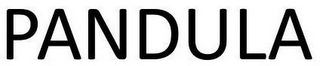 PANDULA logo