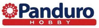 PANDURO HOBBY logo