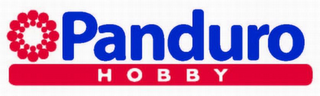 PANDURO HOBBY logo