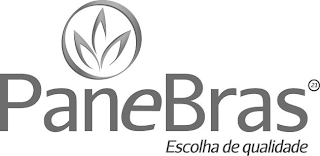 PANEBRAS 21 ESCOLHA DE QUALIDADE logo