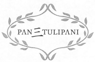 PANETULIPANI logo