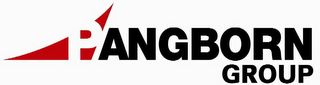 PANGBORN GROUP logo