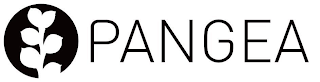 PANGEA logo