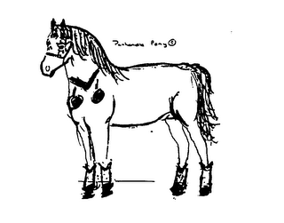 PANHANDLE PONY logo