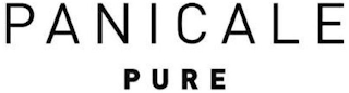 PANICALE PURE logo