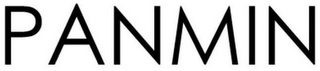 PANMIN logo
