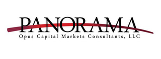 PANORAMA OPUS CAPITAL MARKETS CONSULTANTS, LLC logo