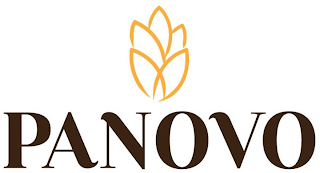 PANOVO logo