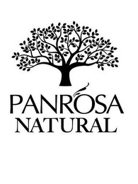 PANROSA NATURAL logo