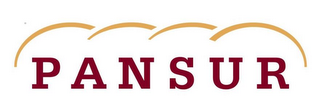 PANSUR logo