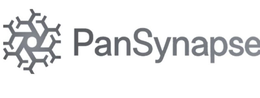 PANSYNAPSE logo