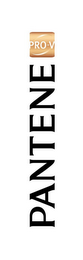 PANTENE PRO-V logo