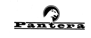 PANTERA logo