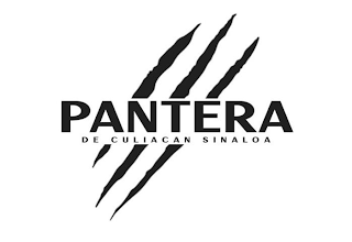 PANTERA DE CULIACAN SINALOA logo