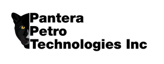 PANTERA PETRO TECHNOLOGIES INC logo
