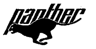PANTHER logo