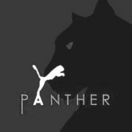 PANTHER logo