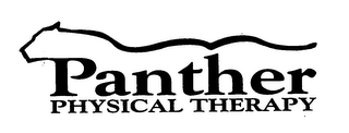 PANTHER PHYSICAL THERAPY logo